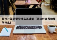 软件开发需要学什么基础呢（做软件开发需要学什么）