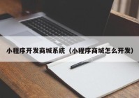 小程序开发商城系统（小程序商城怎么开发）