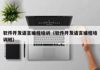 软件开发语言编程培训（软件开发语言编程培训班）