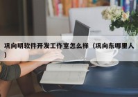 巩向明软件开发工作室怎么样（巩向东哪里人）