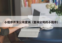 小程序开发公司查询（查询公司的小程序）