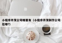 小程序开发公司哪里有（小程序开发制作公司在哪?）