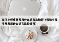 微信小程序开发用什么语言比较好（微信小程序开发用什么语言比较好用）