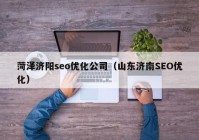 菏泽济阳seo优化公司（山东济南SEO优化）