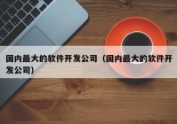 国内最大的软件开发公司（国内最大的软件开发公司）