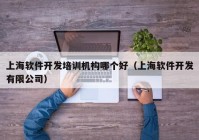 上海软件开发培训机构哪个好（上海软件开发有限公司）