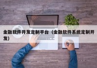 金融软件开发定制平台（金融软件系统定制开发）