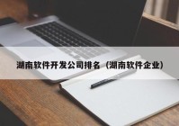 湖南软件开发公司排名（湖南软件企业）