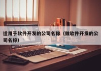 适用于软件开发的公司名称（做软件开发的公司名称）