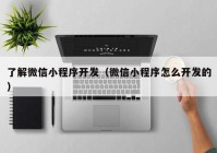 了解微信小程序开发（微信小程序怎么开发的）