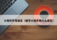 小程序开发语言（编写小程序用什么语言）