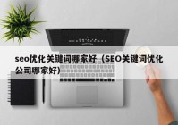 seo优化关键词哪家好（SEO关键词优化公司哪家好）