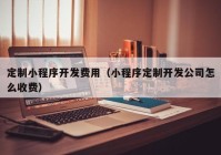 定制小程序开发费用（小程序定制开发公司怎么收费）