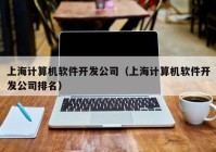 上海计算机软件开发公司（上海计算机软件开发公司排名）